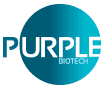 Purple Biotech Ltd. Logo Image