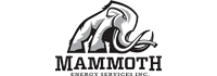Mammoth Energy Services Inc. Logo Image