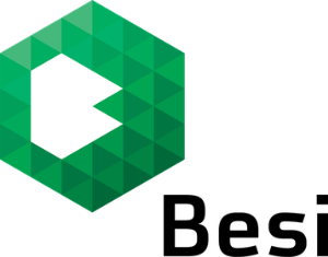 Besi Logo Image