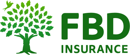 FBD HOLDINGS PLC Logo Image