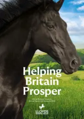 Lloyds Banking Group PLC Lloyds Banking Group PLC