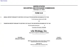 Lite Strategy Inc.