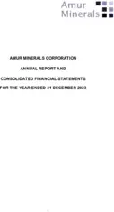Amur Minerals Corporation