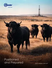 Matador Resources Co Matador Resources Co