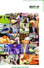 Beston Global Food Company