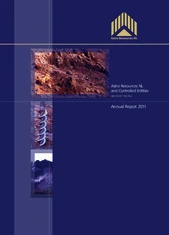 Astute Metals NL