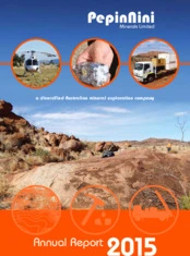 PepinNini Minerals Limited
