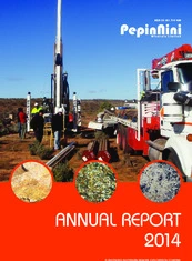 PepinNini Minerals Limited