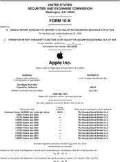 Apple Inc.