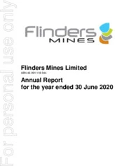 Flinders Mines