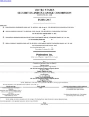 PDD Holdings Inc.