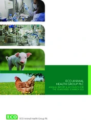 Eco Animal Health Group PLC