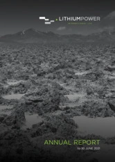 Lithium Power International Limited