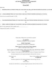 Xtra-Gold Resources Corp.