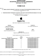 Apple Inc.