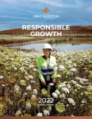 First Quantum Minerals Ltd.