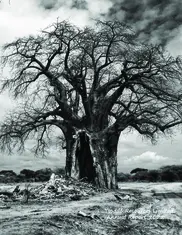 Tsodilo Resources Limited