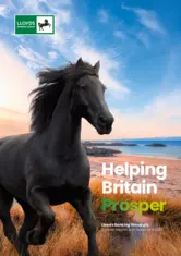 Lloyds Banking Group PLC