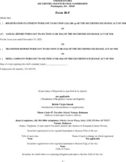 Xtra-Gold Resources Corp.