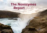 Novonesis