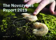 Novonesis