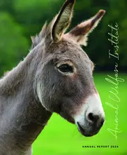 Animal Welfare Institute