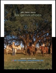 First Financial Bankshares Inc.