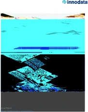 Innodata Inc. 