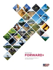 Natural Resource Partners L.P.