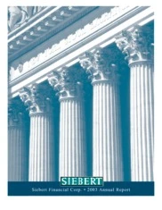 Siebert Financial Corp