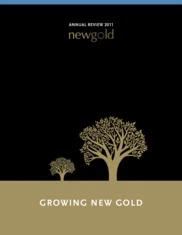 New Gold Inc.