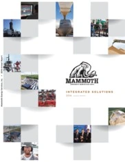 Mammoth Energy Services Inc.