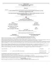 American Renal Associates Holdings Inc