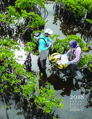 Ecology and Environment, Inc.