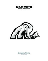 Mammoth Energy Services Inc.
