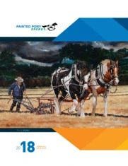 Painted Pony Energy Ltd.