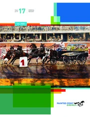 Painted Pony Energy Ltd.