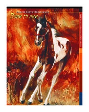 Painted Pony Energy Ltd.