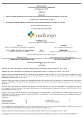 AudioEye, Inc.