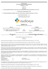 AudioEye, Inc.