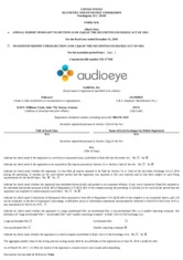 AudioEye, Inc.