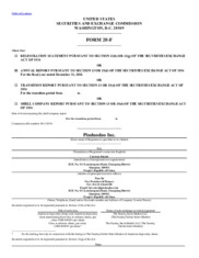 PDD Holdings Inc.