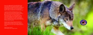 Defenders of Wildlife