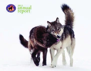 Defenders of Wildlife
