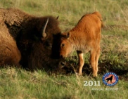 Defenders of Wildlife