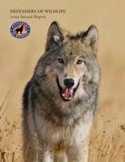 Defenders of Wildlife