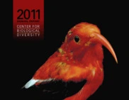 Center for Biological Diversity