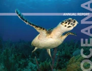 Oceana