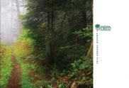 National Forest Foundation