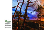 National Forest Foundation